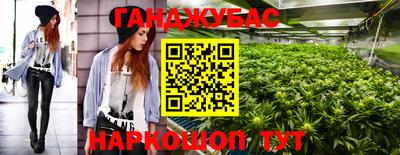 индика Ликино-Дулёво