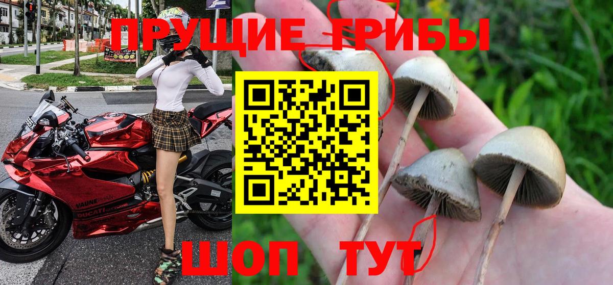 Галлюциногенные грибы прущие грибы  Вход с VPN  продажа наркотиков  Рузаевка  Галлюциногенные грибы мухоморы 