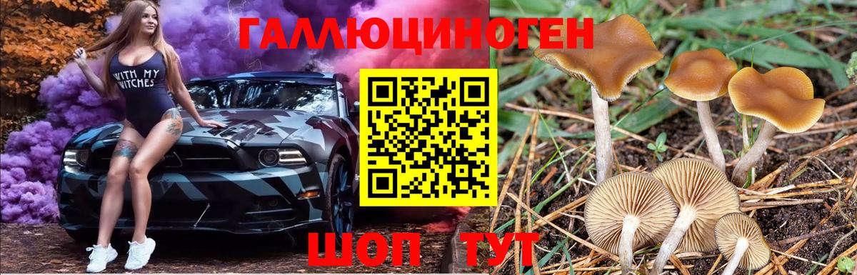 Псилоцибиновые грибы ЛСД Рузаевка
